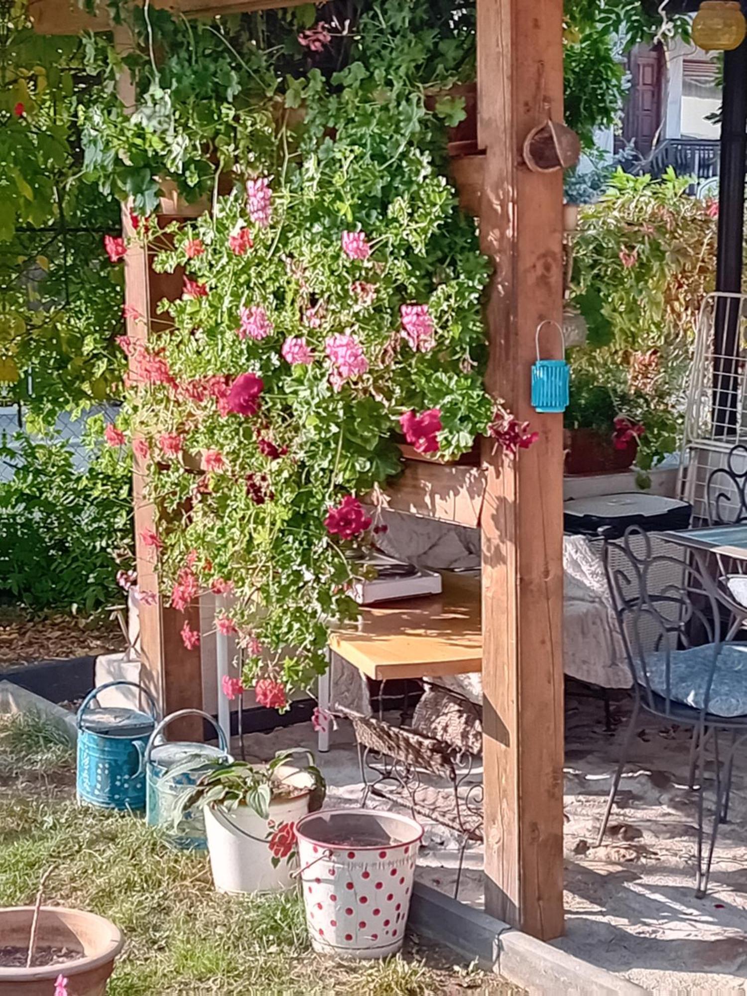 Rose Room 40M2 With Terrace 25M2 In Greeny Area For 4 Person Ljubljana Buitenkant foto