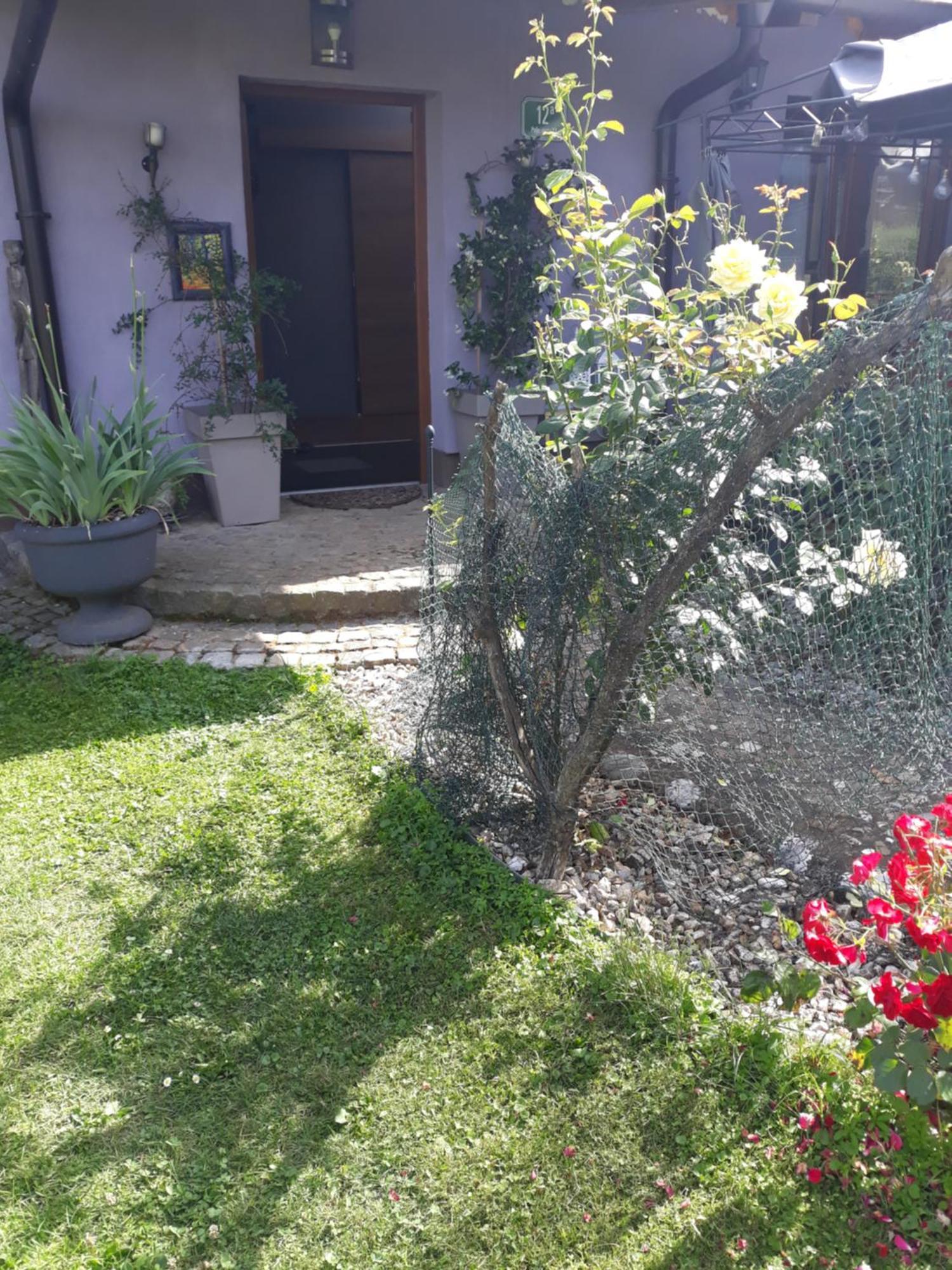 Rose Room 40M2 With Terrace 25M2 In Greeny Area For 4 Person Ljubljana Buitenkant foto